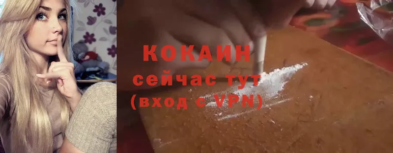 Кокаин Fish Scale Куртамыш