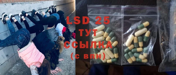 ПСИЛОЦИБИНОВЫЕ ГРИБЫ Нея