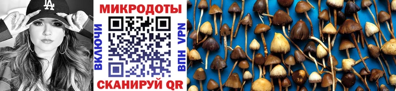 Псилоцибиновые грибы Magic Shrooms  blacksprut зеркало  Куртамыш 